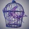 Cover image for 